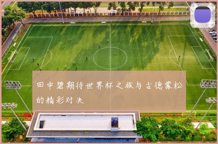田中碧期待世界杯之旅与古德蒙松的精彩对决