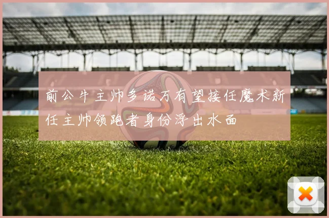 前公牛主帅多诺万有望接任魔术新任主帅领跑者身份浮出水面